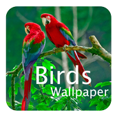 Birds Wallpaper icon
