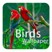 Birds Wallpaper 1.0