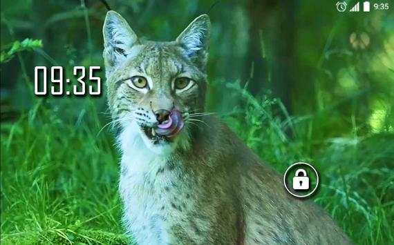 Animals for Kids Live WP screenshot 4