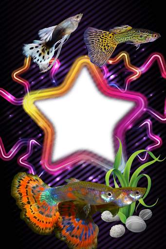 Guppy Fishs Photo Frames screenshot 4