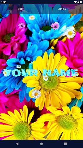 3D Daisy Spring Live Wallpaper screenshot 2