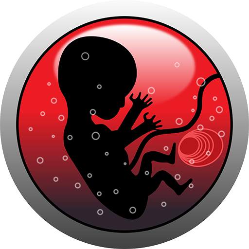 Pregnancy Calculator 3.4.7