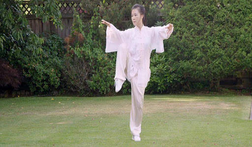 Tai Chi for Beginners - 48 Form (YMAA) screenshot 3
