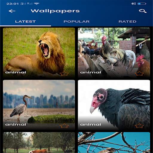 animals Wallpapers screenshot 2