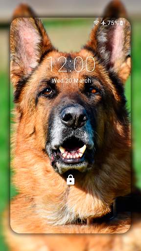 German Shepherd Wallpaper HD screenshot 5