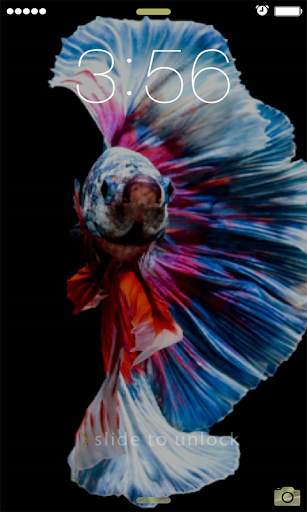 Betta Fish Wallpapers 2021 screenshot 6