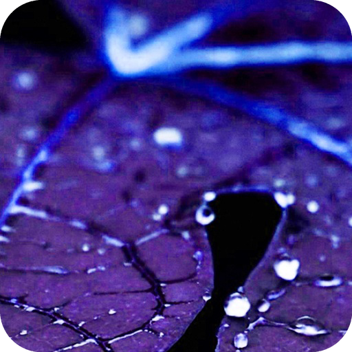Blue Leaf Water Drop Theme HD icon