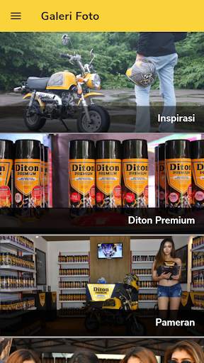 Diton Premium скриншот 6