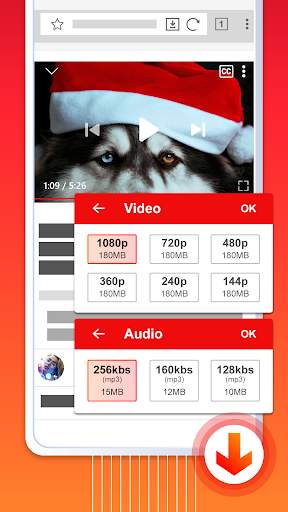 Total video downloader screenshot 2