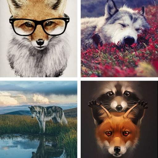 Fox Wallpaper: HD images, Free Pics download 2.1.40