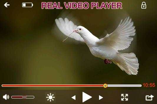 Real Player screenshot 1