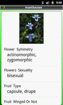 Key: Plant Families screenshot 3