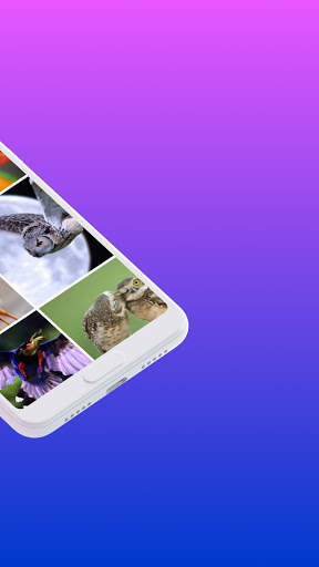 Bird HD Wallpaper screenshot 2