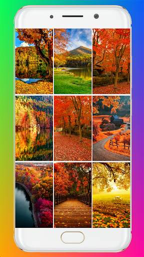 Fall Wallpaper HD screenshot 1