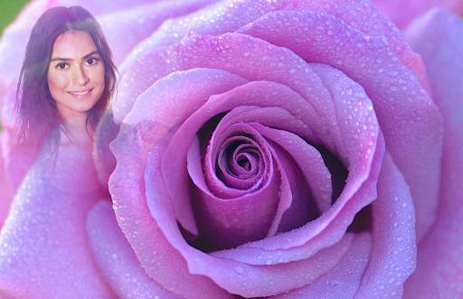 Macro Rose Photo Frames screenshot 5