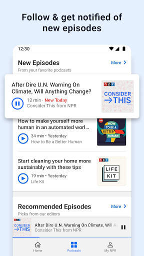 NPR screenshot 2