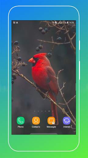 Bird Wallpaper screenshot 13