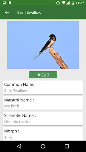Vasai Birds स्क्रीनशॉट 7