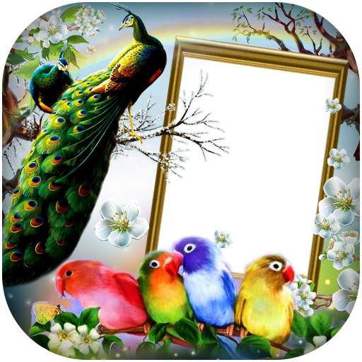 Love Birds DP for Insta/FB 1.3