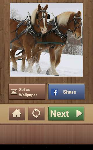 Horse Puzzles Free screenshot 13