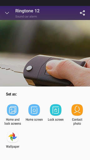 Sound car alarm - RINGTONES and WALLPAPERS स्क्रीनशॉट 5