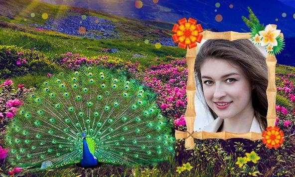 Peacock Photo Frames HD screenshot 5