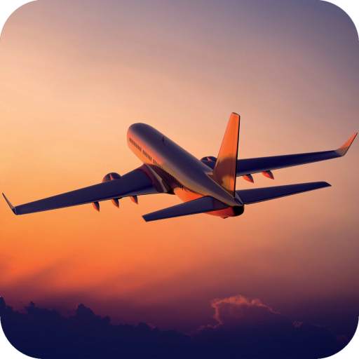 Plane Wallpaper 1.03