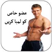 uzo khaas ki labmai Mardana on 9Apps