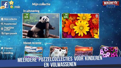 Magnetic Jigsaw screenshot 4