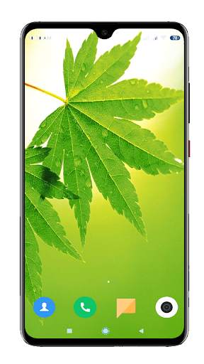 Green Wallpaper HD screenshot 11
