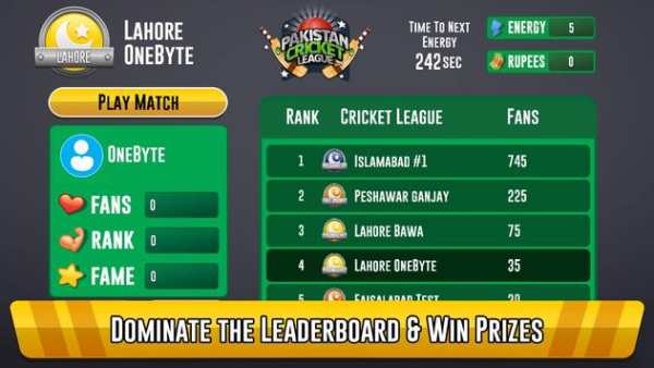 Pakistan Cricket League screenshot 4