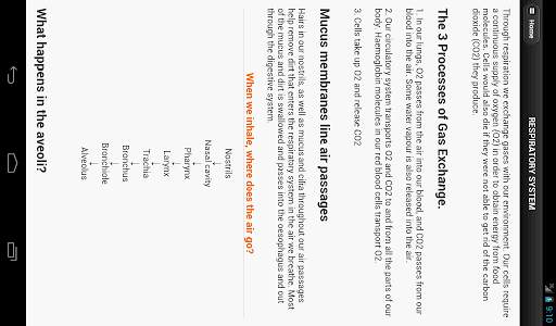 Human Body System screenshot 4