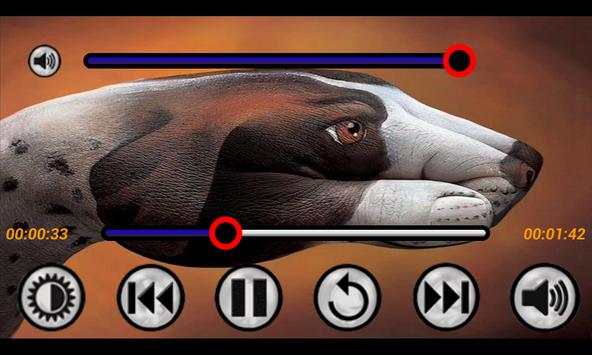 MP4/3GP HD Video Player screenshot 2