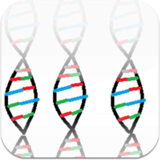 DNA Replication 1.1
