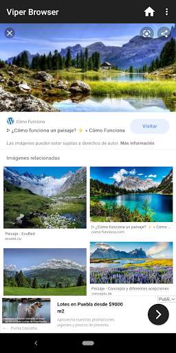 Viper Browser screenshot 1