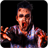 Zombies Death Zone icon