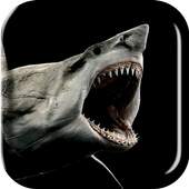 Shark 3D Live Wallpaper 4.0