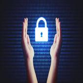 Lock Browser icon
