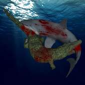 Shark Crocodile Fight 1.0.0