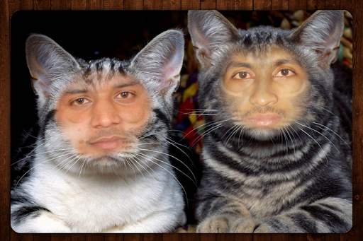 Animal Photo Faces screenshot 1