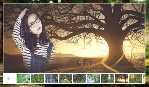 Forest Photo frame screenshot 6