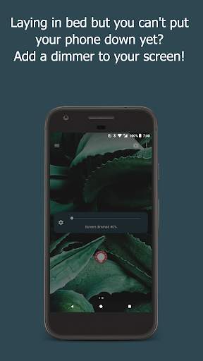 DigiLux: Fingerprint Gestures for Phone Brightness screenshot 4