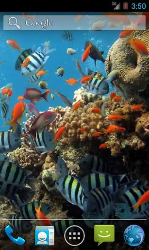 Colorful Tropical Fishes screenshot 3