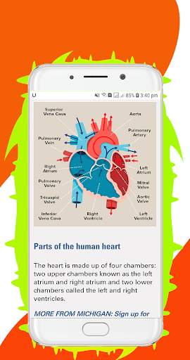 Human Body System – All Body System Offline screenshot 5