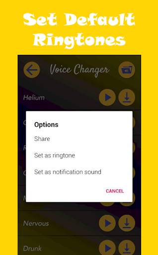 Change Your Voice (Voice Changer) 2019 4 تصوير الشاشة