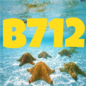 B712 Camera أيقونة