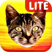 Pussy Malone Lite logo