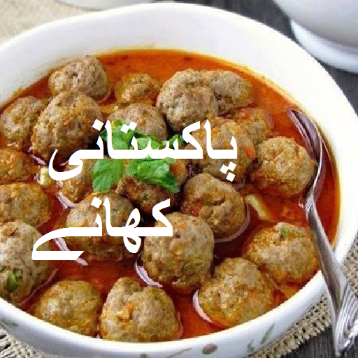 Pakistani Recipes in Urdu icon