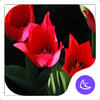 Gorgeous-APUS Launcher theme icon