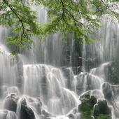 Wonderful wall of waterfall 1.3